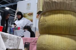 Simulinfiera-2025-giorno1-15