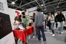 Simulinfiera-2025-giorno1-5