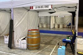 Simulinfiera-edizion-precedenti27