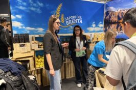 IMG_2017 (Copy)