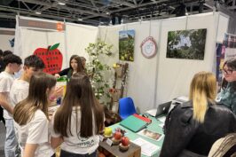 IMG_2046 (Copy)